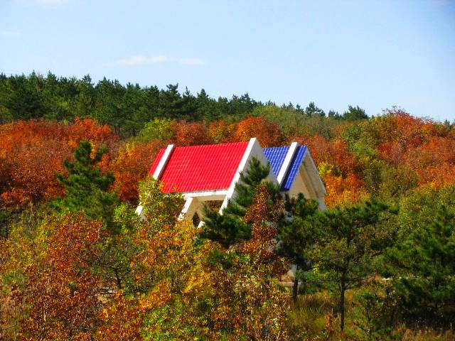 南山枫叶黄,草原旅游