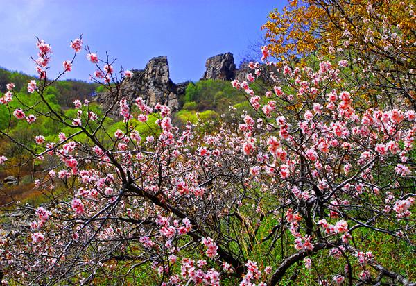 老府神仙沟生态旅游风景区