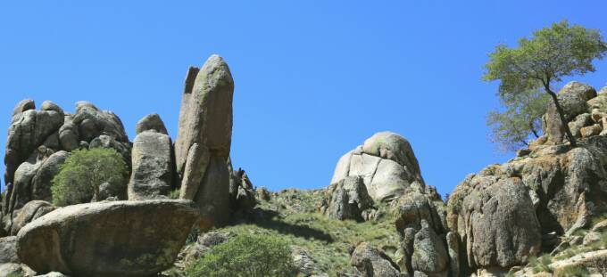 巴彦淖尔阿尔其山叉枝圆柏自治区级自然保护区