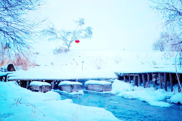 冬季的白音敖包沙地云杉景区