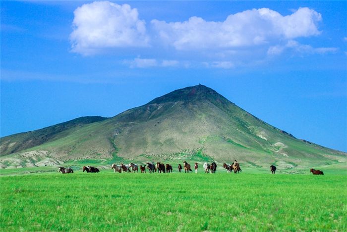 乌拉特草原旅游