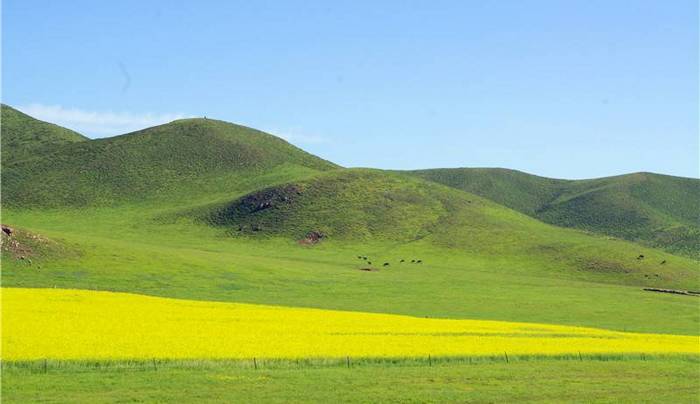 巴仁哲里木镇草原旅游