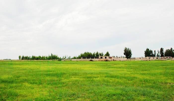 毛仁塔拉草原
