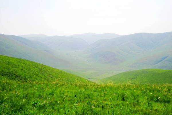 哈日诺尔苏木草原旅游