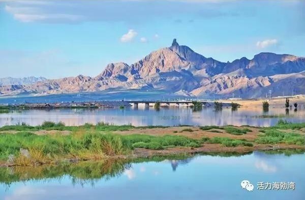 乌海海勃湾草原旅游