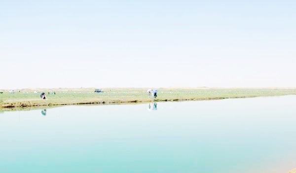 阿拉善大漠花海“梦幻境地”——马兰湖风光