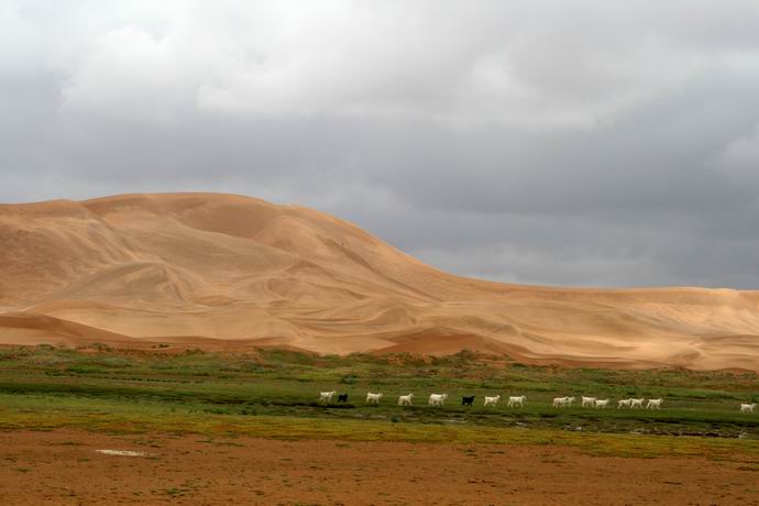 阿拉善承庆寺附近的草原沙漠