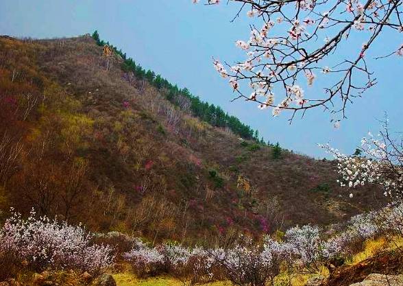 百岔川生态旅游区