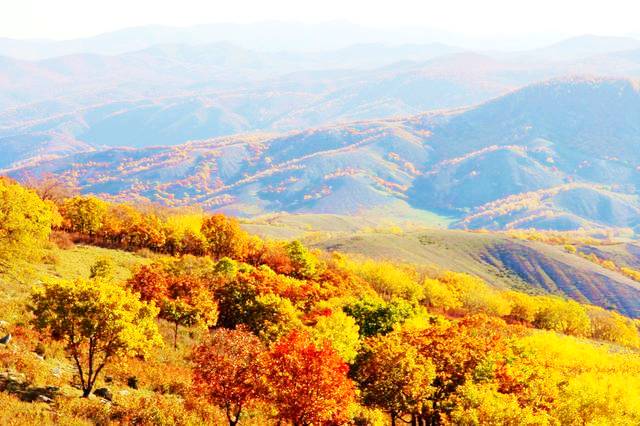 乌兰坝森林旅游区