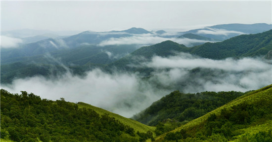 扎鲁特罕山林场神泉旅游区