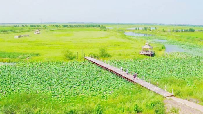 水韵绿洲景区