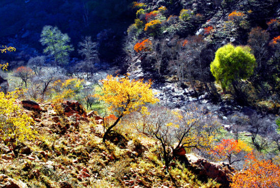 乌拉山国家森林公园