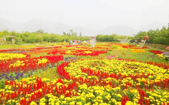 大雁滩景区