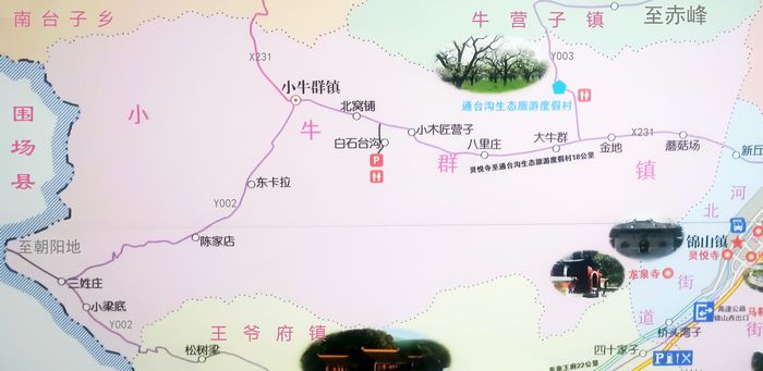 小牛群旅游图